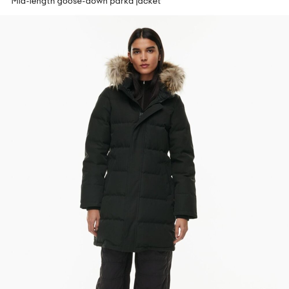 Aritzia powder jacket